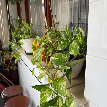 Apartmán Family & Pet Friendly & Fast Wi-fi Figueira da Foz