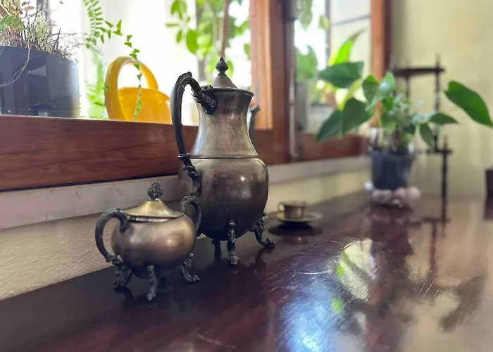 Family & Pet Friendly & Fast Wi-fi Figueira da Foz